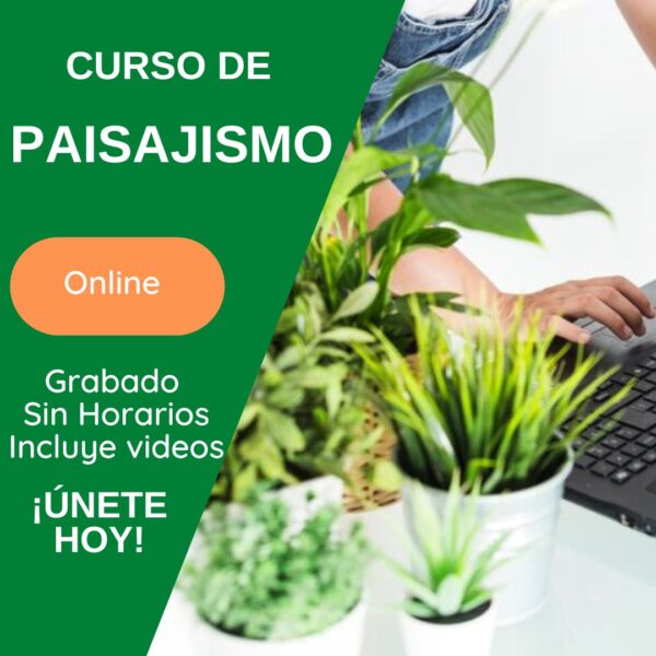 Curso de Paisajismo - Online
